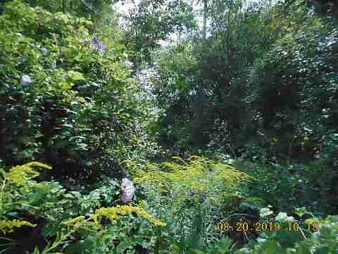 8916 Isham St (4)_m.jpg